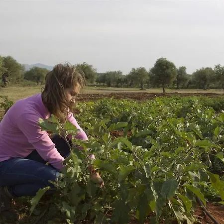Eumelia Organic Agrotourism Farm & Sparta