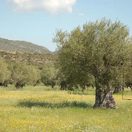 Eumelia Organic Agrotourism Farm & Vakantieboerderij Sparta