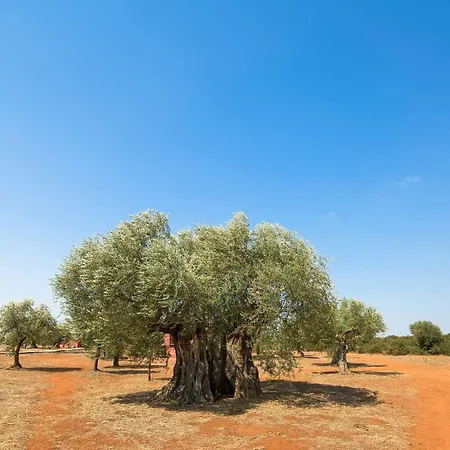 Eumelia Organic Agrotourism Farm & Vakantieboerderij Sparta