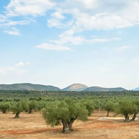 Eumelia Organic Agrotourism Farm & * Sparta